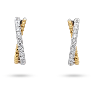 Two-Toned Hoop earrings